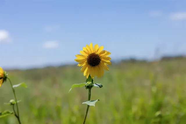 $2,125,000 | 0 West 17th Street, Brady, TX 76825