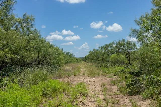 $2,125,000 | 0 West 17th Street, Brady, TX 76825
