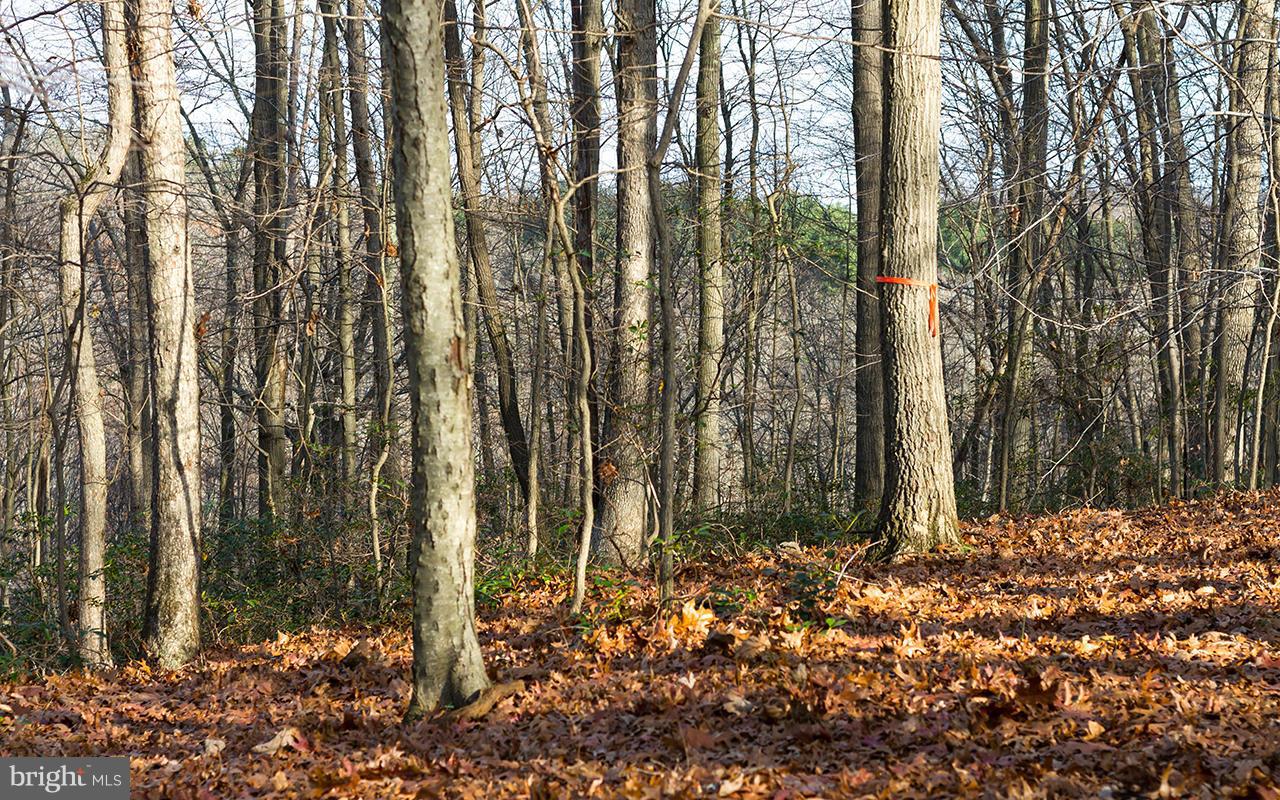 1415 Blue Mt Road Monkton, MD 21111 - Photo 8 of 30 Building Site top of property