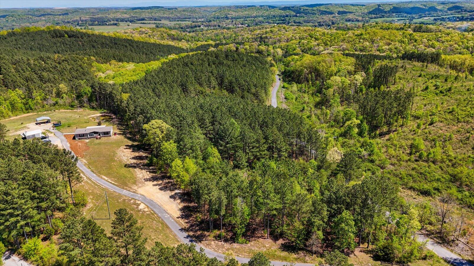 15.12-acre Rynes Road Decatur, TN 37322 - Photo 4 of 35 04-Cottonport Ridge Rd lot 1-2
