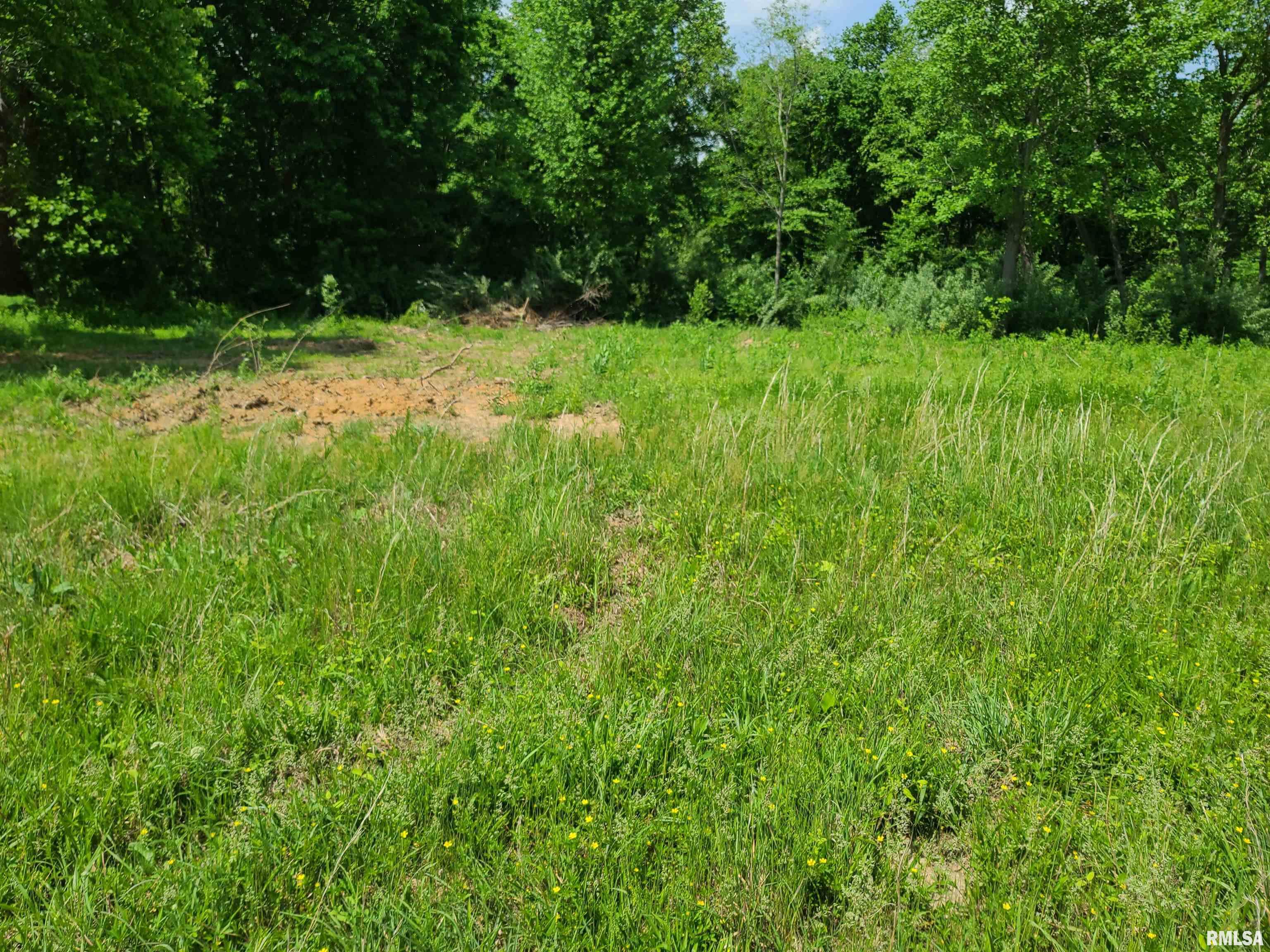 0 Central Road Elizabethtown, IL 62931 - Photo 3 of 13