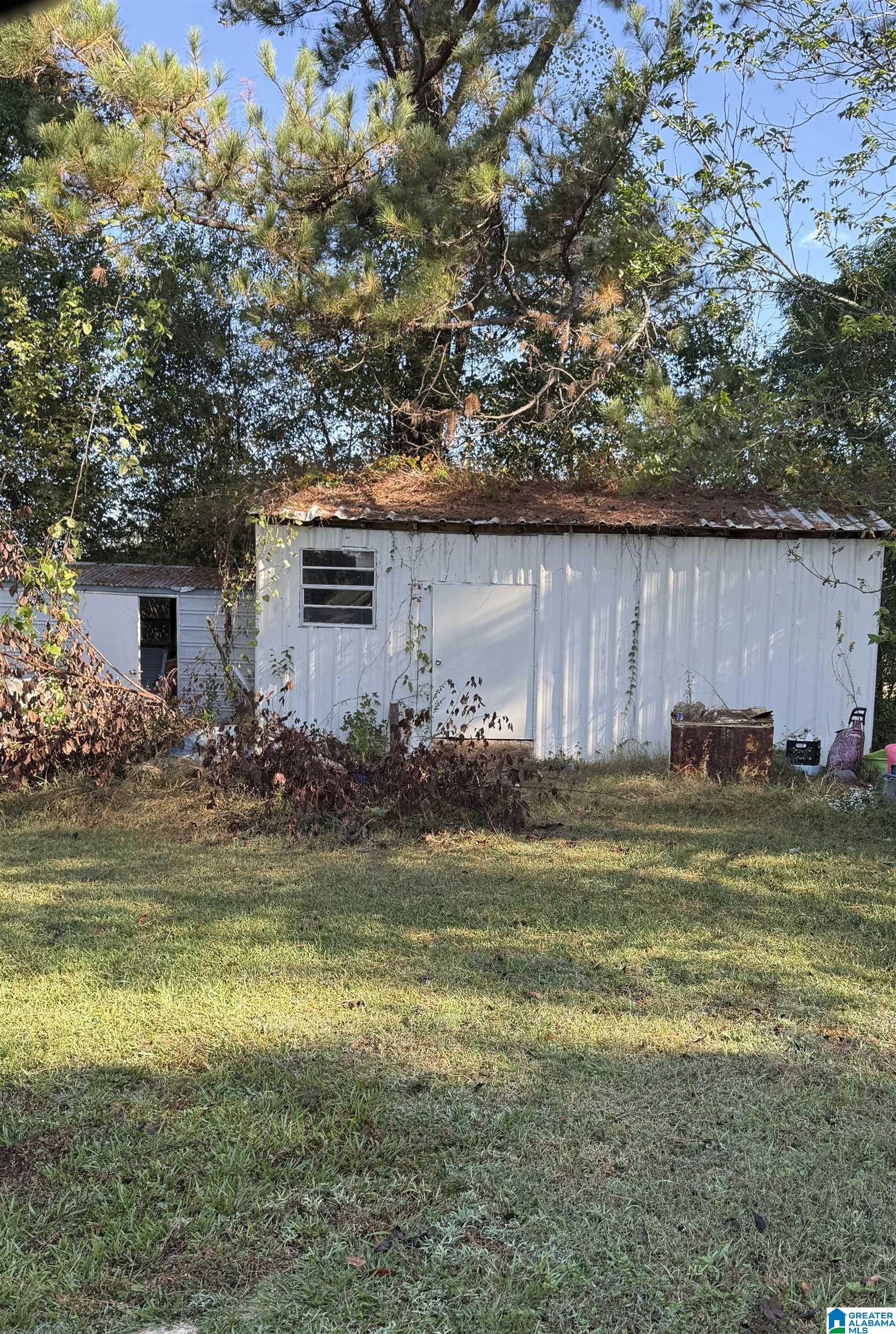 1194 Kines Road Piedmont, AL 36272 - Photo 3 of 3