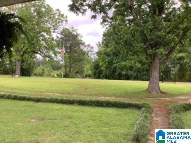 567 Hurricane Ridge Lawley, AL 36793 - Photo 13 of 13