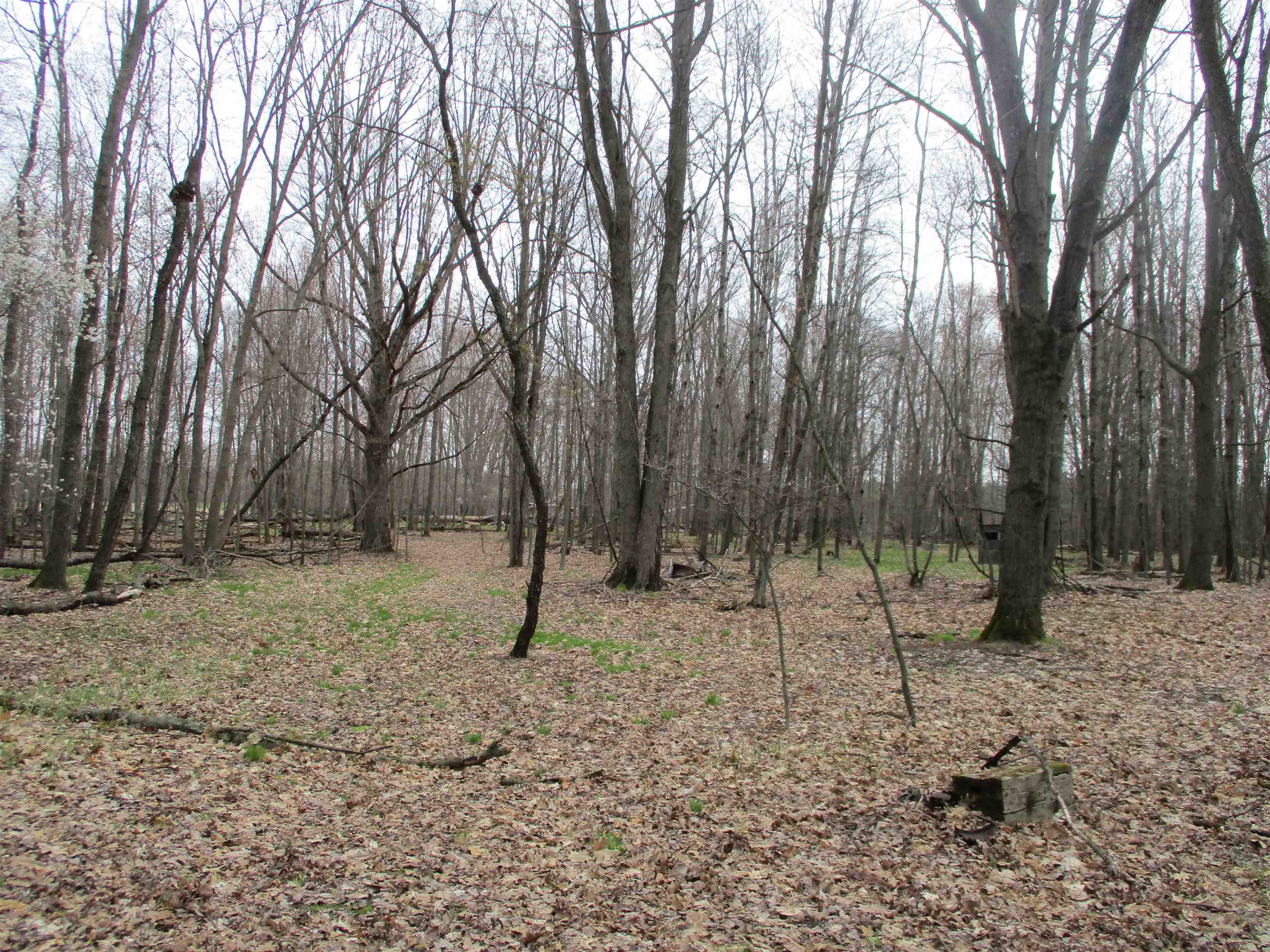 0 Peterson Road Prescott, MI 48756 - Photo 13 of 17