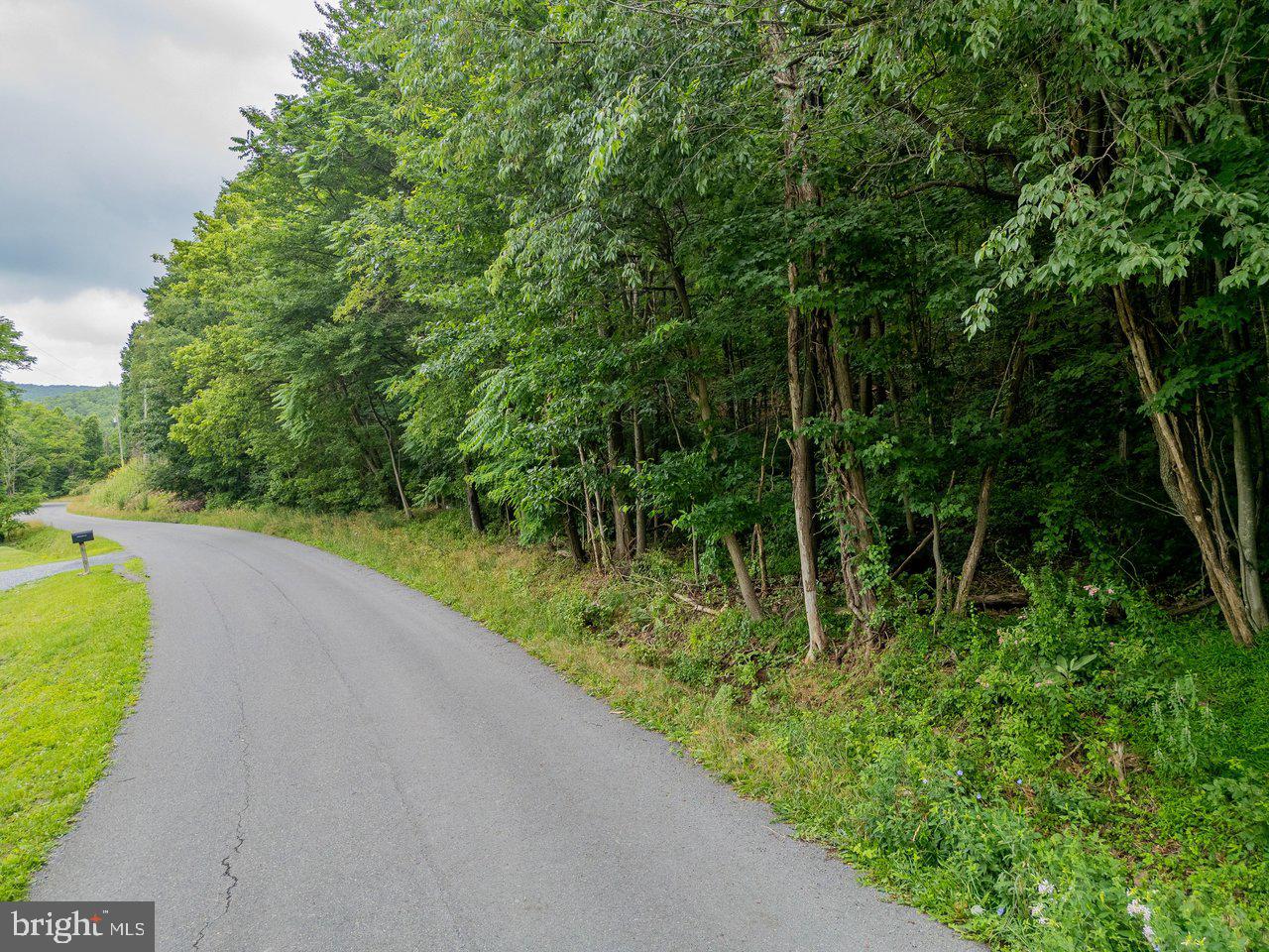 Cubbage Hollow Road Stanley, VA 22851 - Photo 13 of 36 a view of a street view