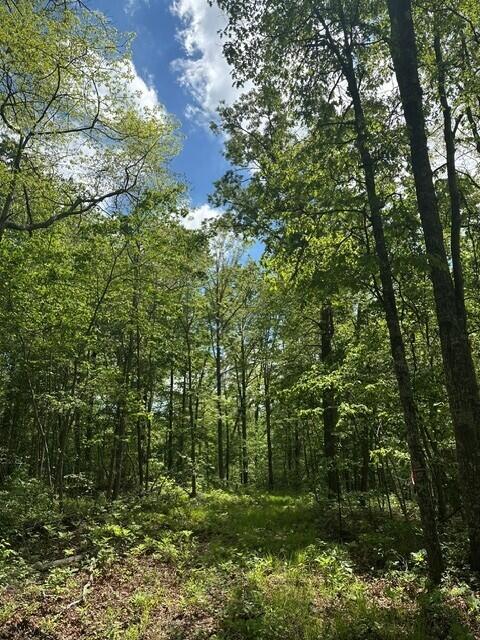142 Cole Road Deer Lodge, TN 37726 - Photo 17 of 77 20