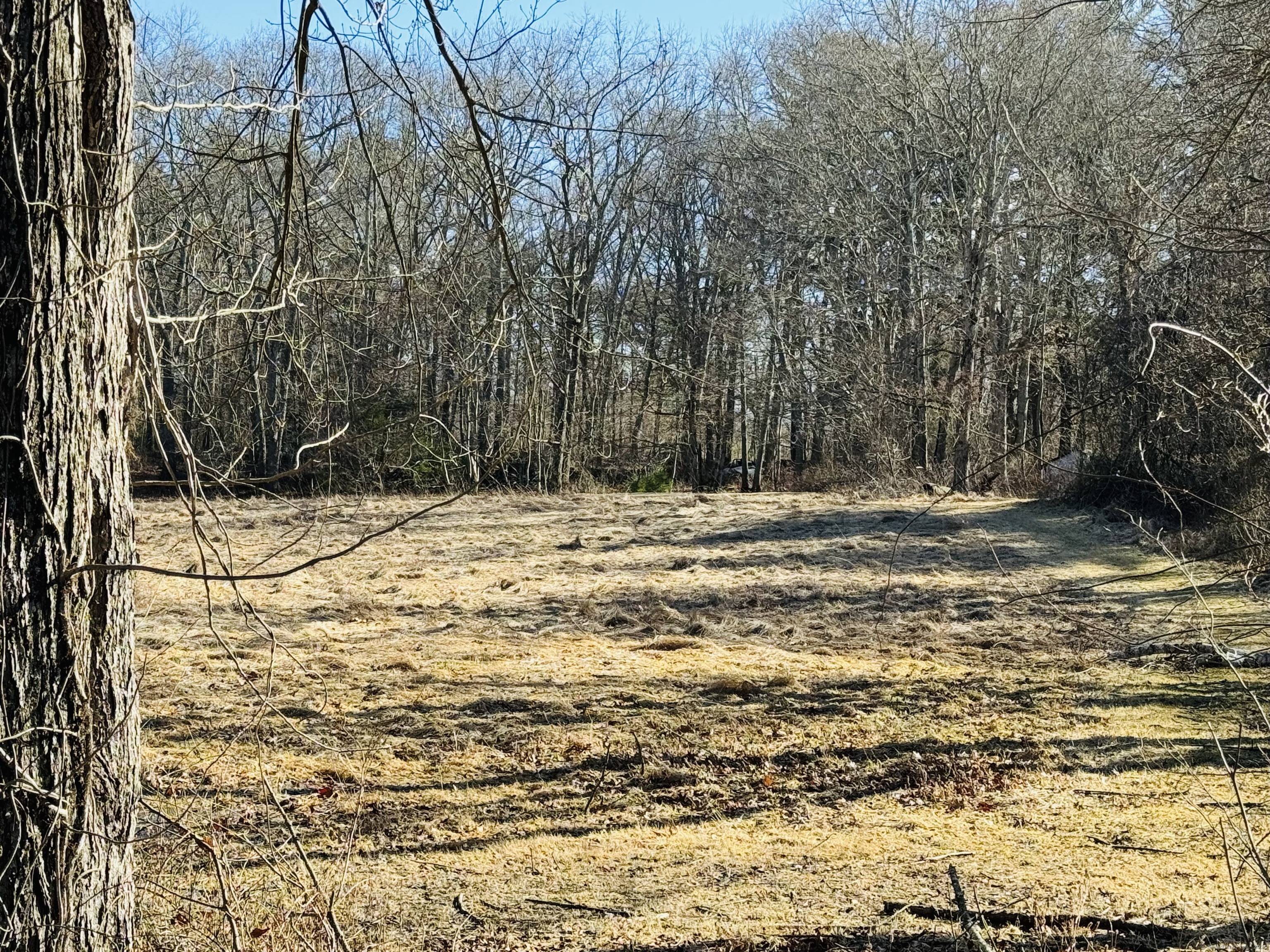 Porter Pond Road Moosup, CT 06354 - Photo 1 of 1