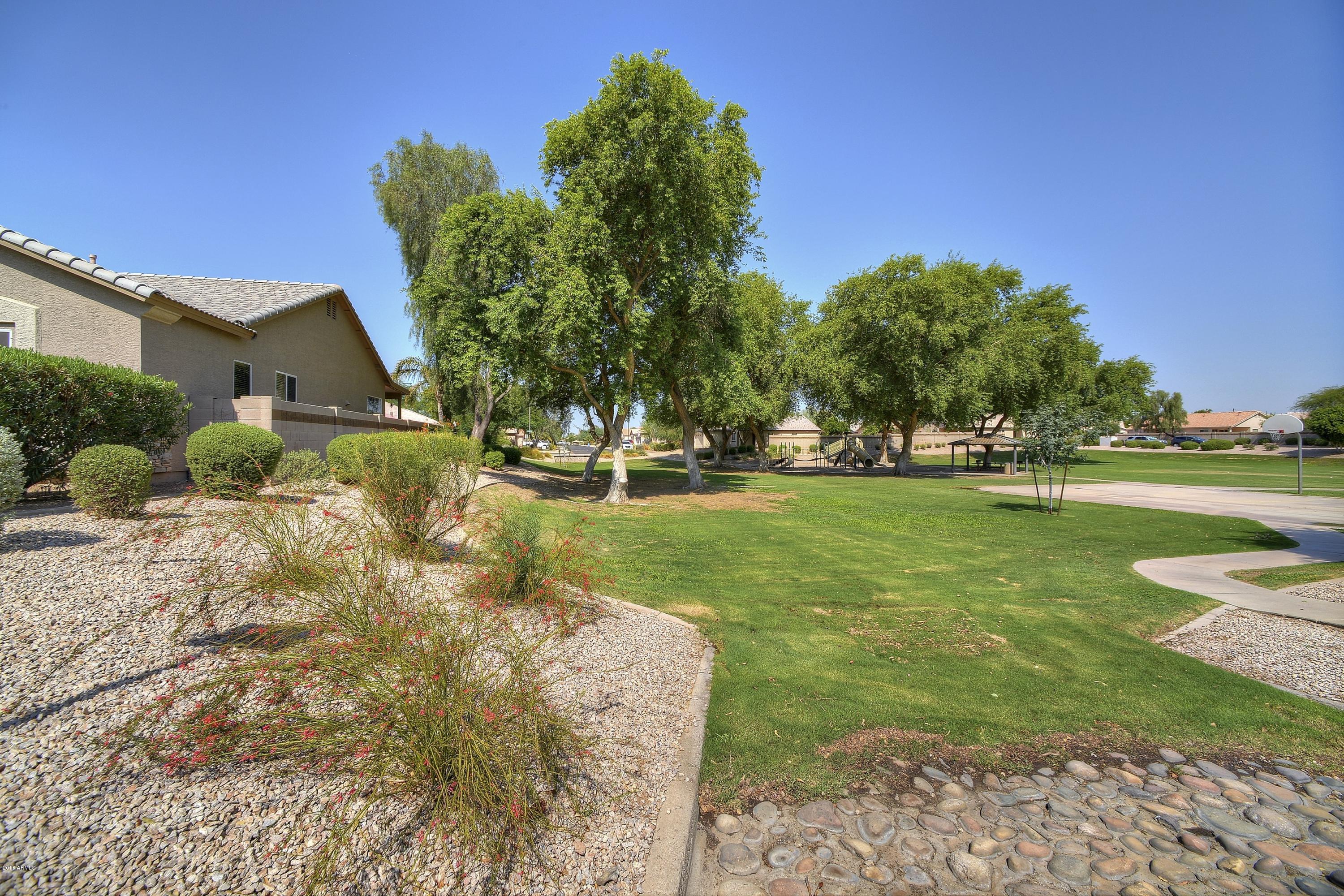1502 North Rochester Drive Gilbert, AZ 85234 - Photo 4 of 25 Park
