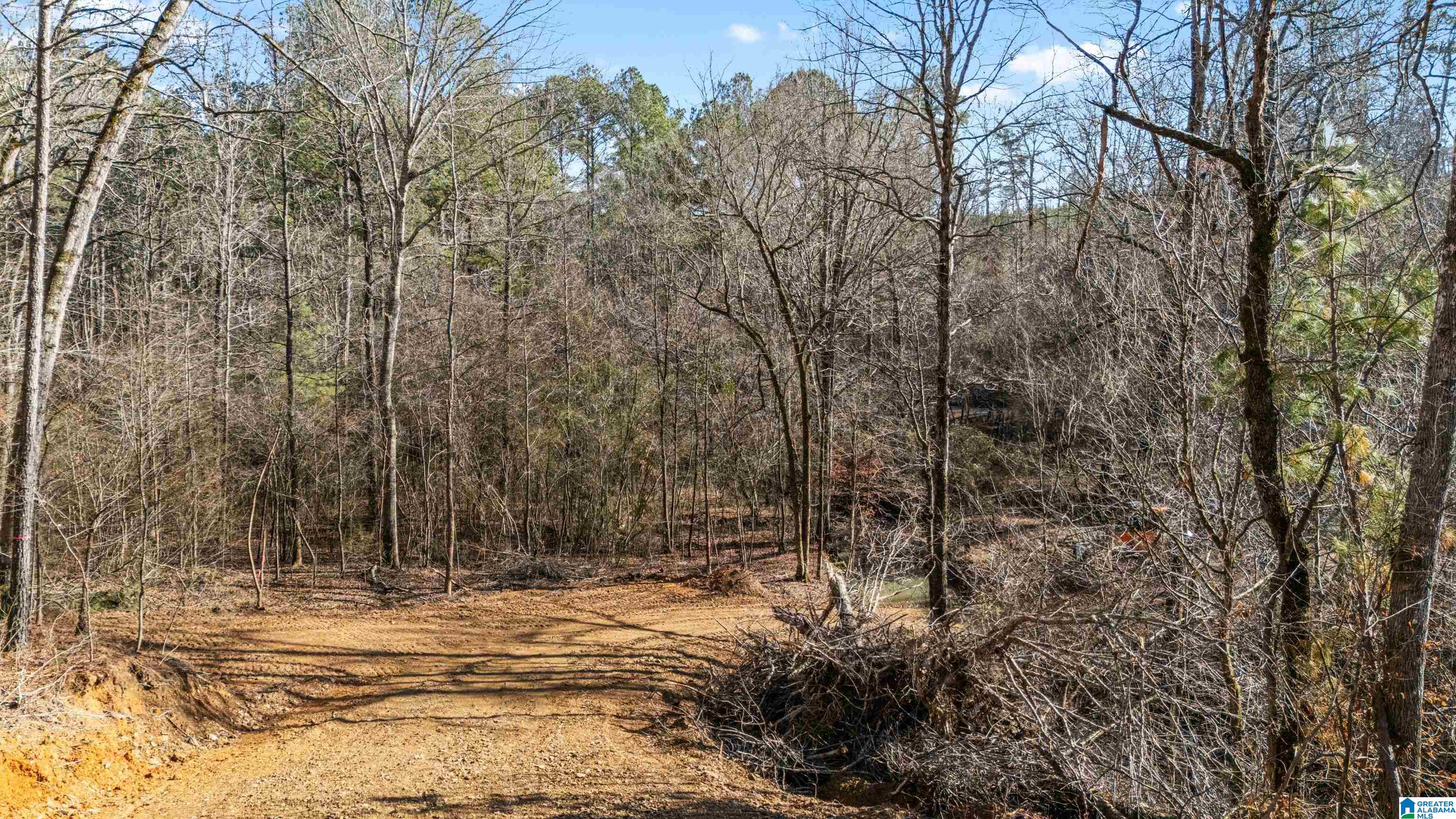 7019 Groundhog Road, Unit 1 Morris, AL 35116 - Photo 17 of 22