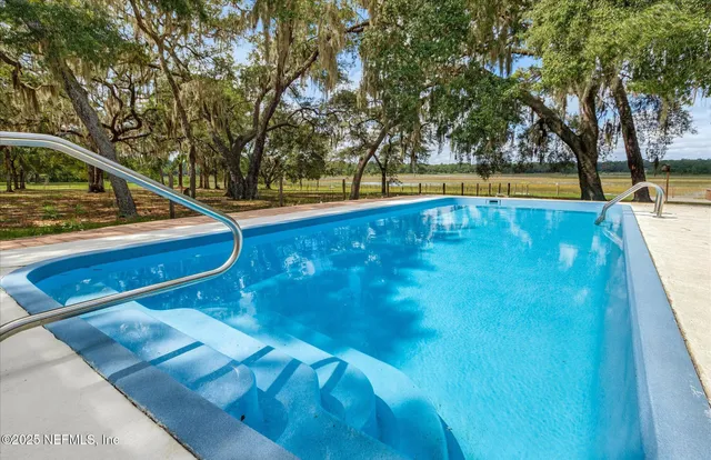 a view of a park with large trees