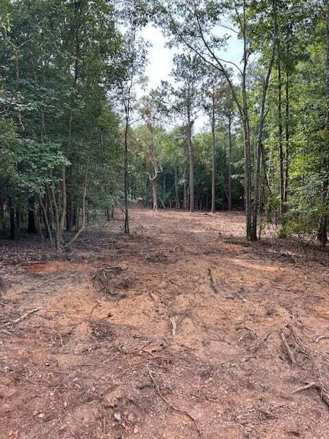 4570 Seymour Road Dalzell, SC 29040 - Photo 3 of 5 20250611002358790351000000-o