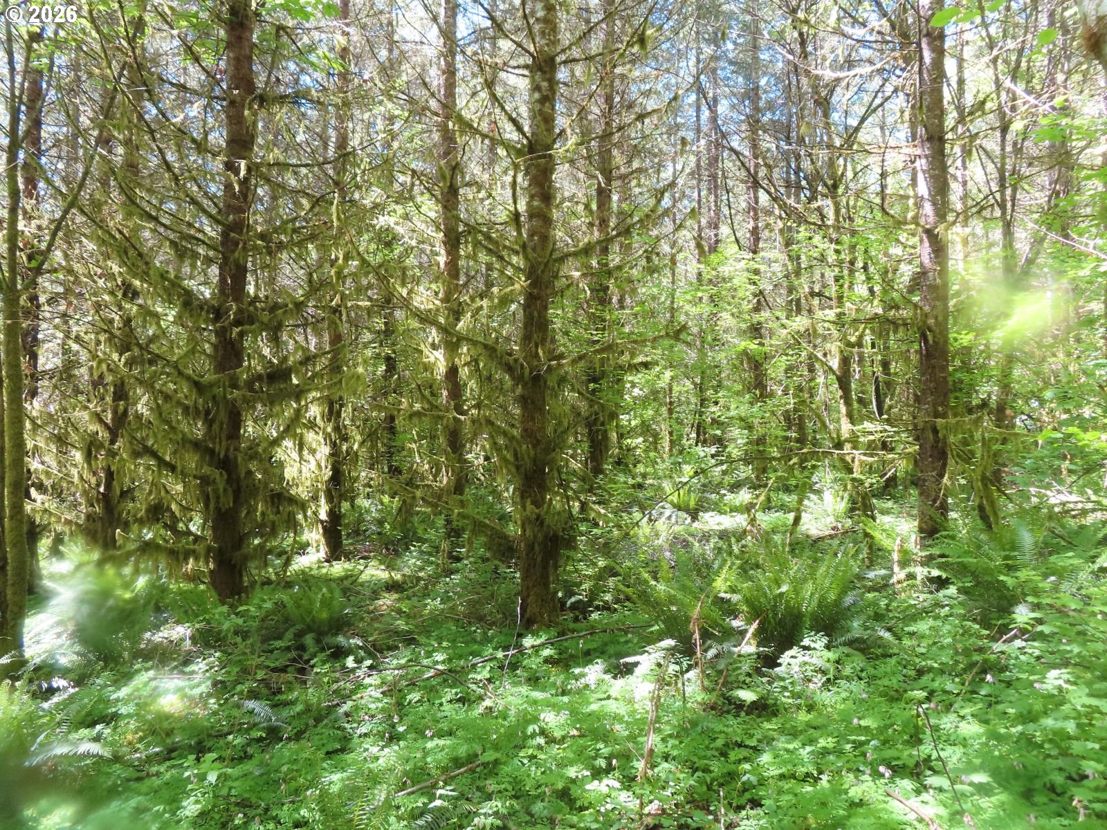 Hockett Road Onalaska, WA 98570 - Photo 26 of 29