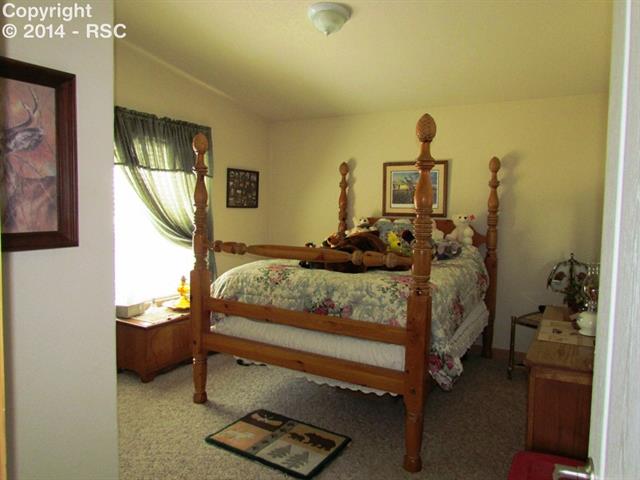 1673 Pulver Road Lake George, CO 80827 - Photo 10 of 24 Bedroom 2