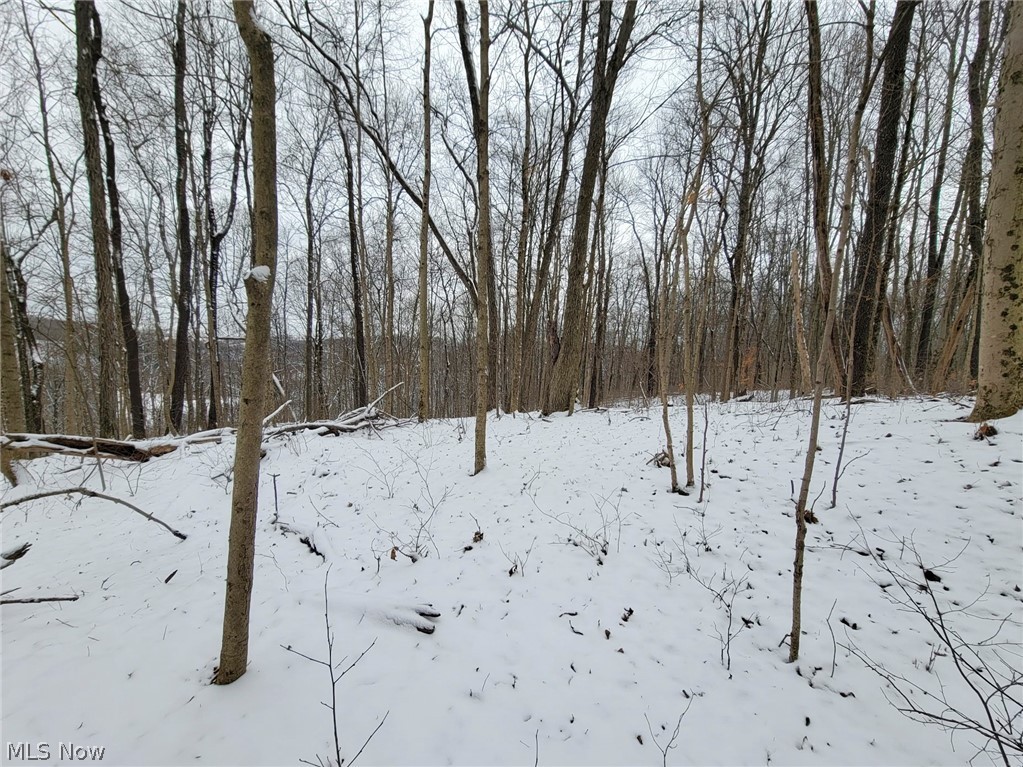 0 Tract 3 Bondi Ridge Road Woodsfield, OH 43793 - Photo 15 of 24