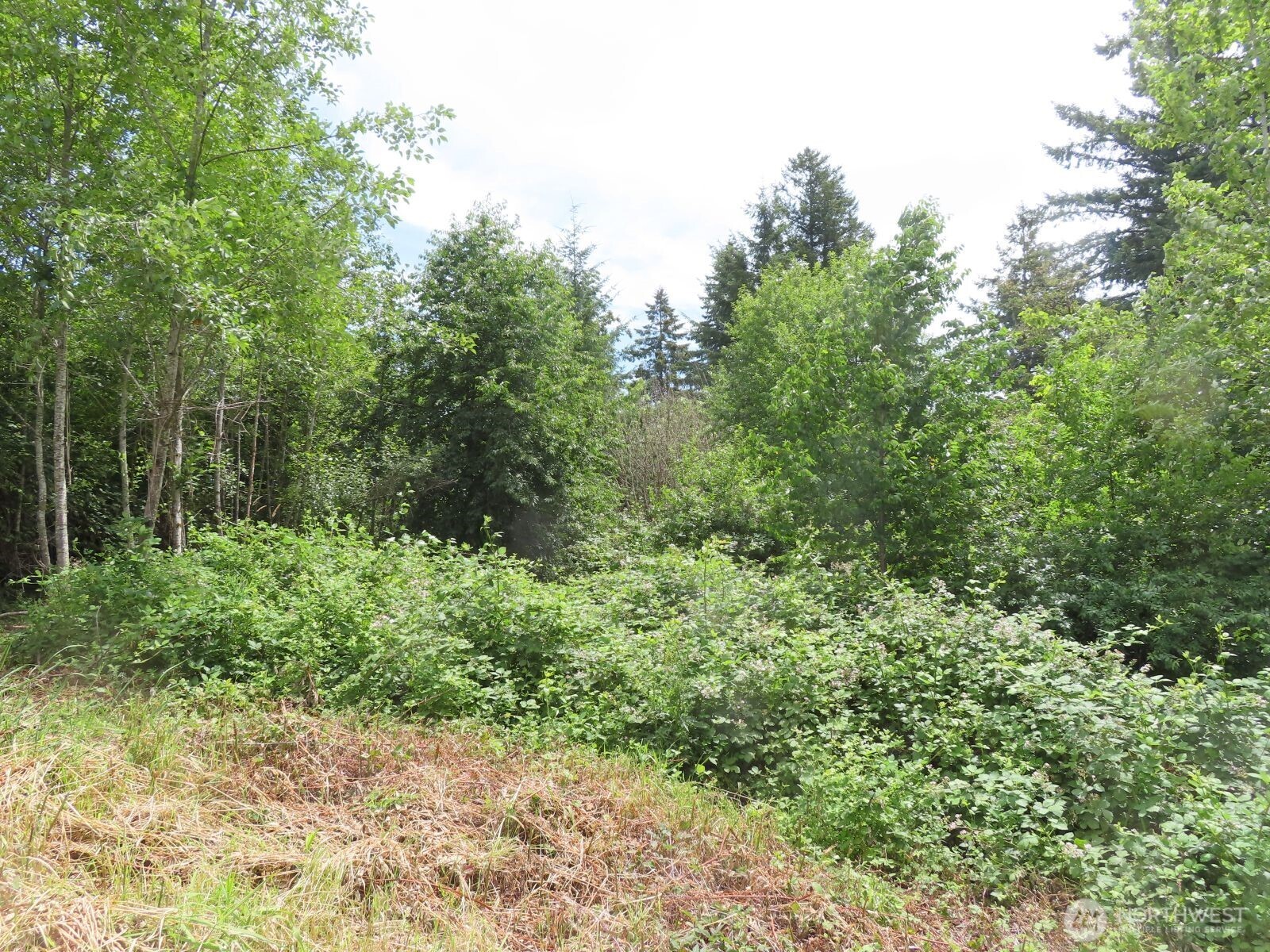 -xxx Coleman Road Mossyrock, WA 98564 - Photo 15 of 20