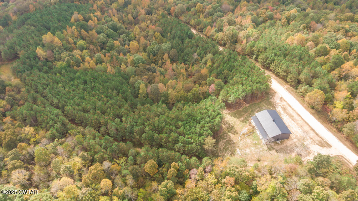 190 Pine Tree Drive Parsons, TN 38363 - Photo 2 of 56 a view of a yard with a tree