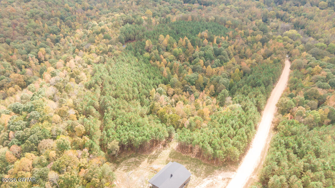 190 Pine Tree Drive Parsons, TN 38363 - Photo 36 of 56 a bathroom with a bathtub