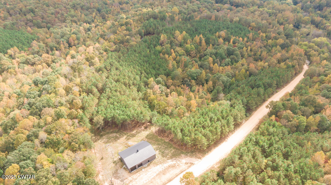 190 Pine Tree Drive Parsons, TN 38363 - Photo 37 of 56 a view of a yard with flower plant