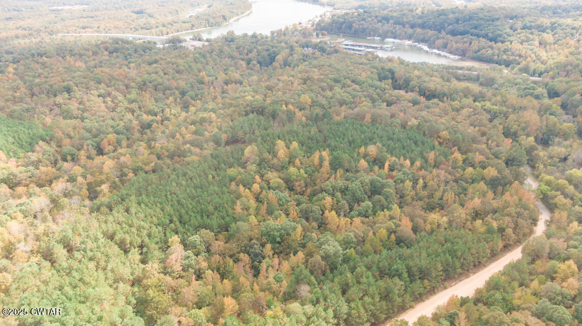 190 Pine Tree Drive Parsons, TN 38363 - Photo 38 of 56 a view of a dry yard with green space