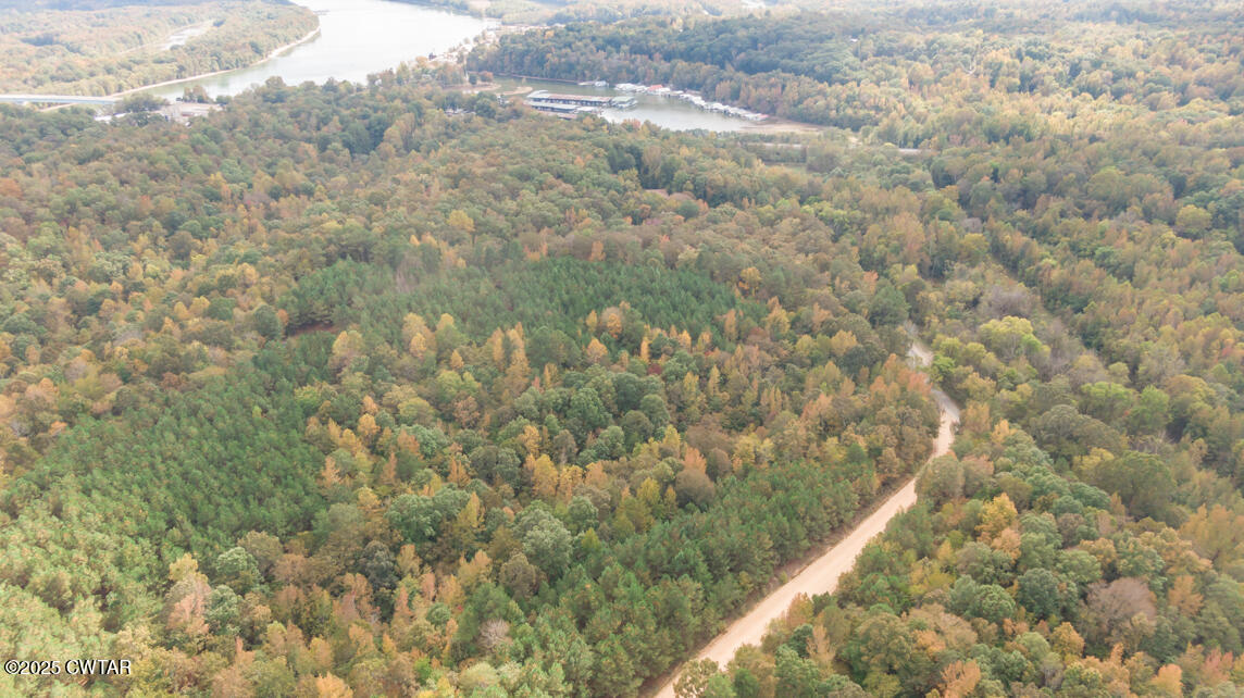 190 Pine Tree Drive Parsons, TN 38363 - Photo 39 of 56 a view of a yard