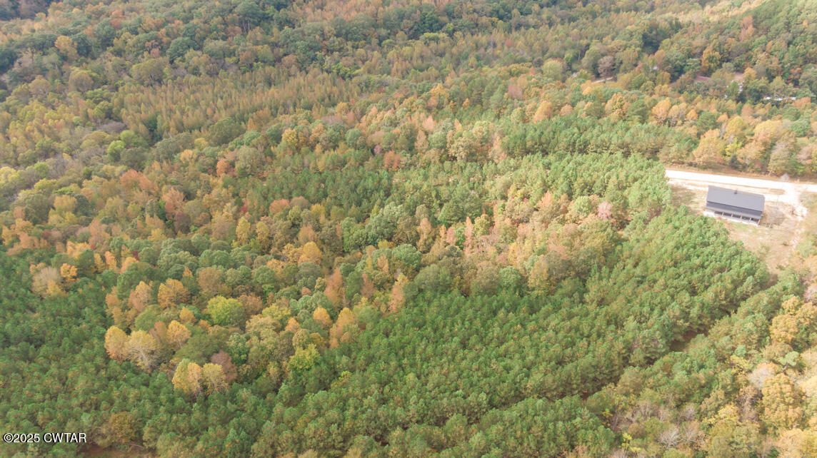 190 Pine Tree Drive Parsons, TN 38363 - Photo 41 of 56 a view of a yard