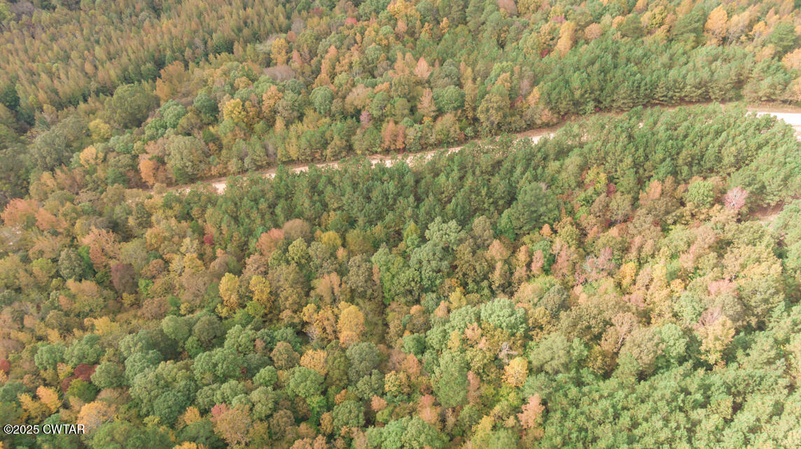 190 Pine Tree Drive Parsons, TN 38363 - Photo 44 of 56 10-17_190_Pine_Tree_Dr_Parsons-28