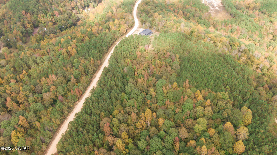 190 Pine Tree Drive Parsons, TN 38363 - Photo 46 of 56 a bathroom with a yard