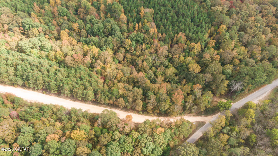 190 Pine Tree Drive Parsons, TN 38363 - Photo 49 of 56 a view of a yard