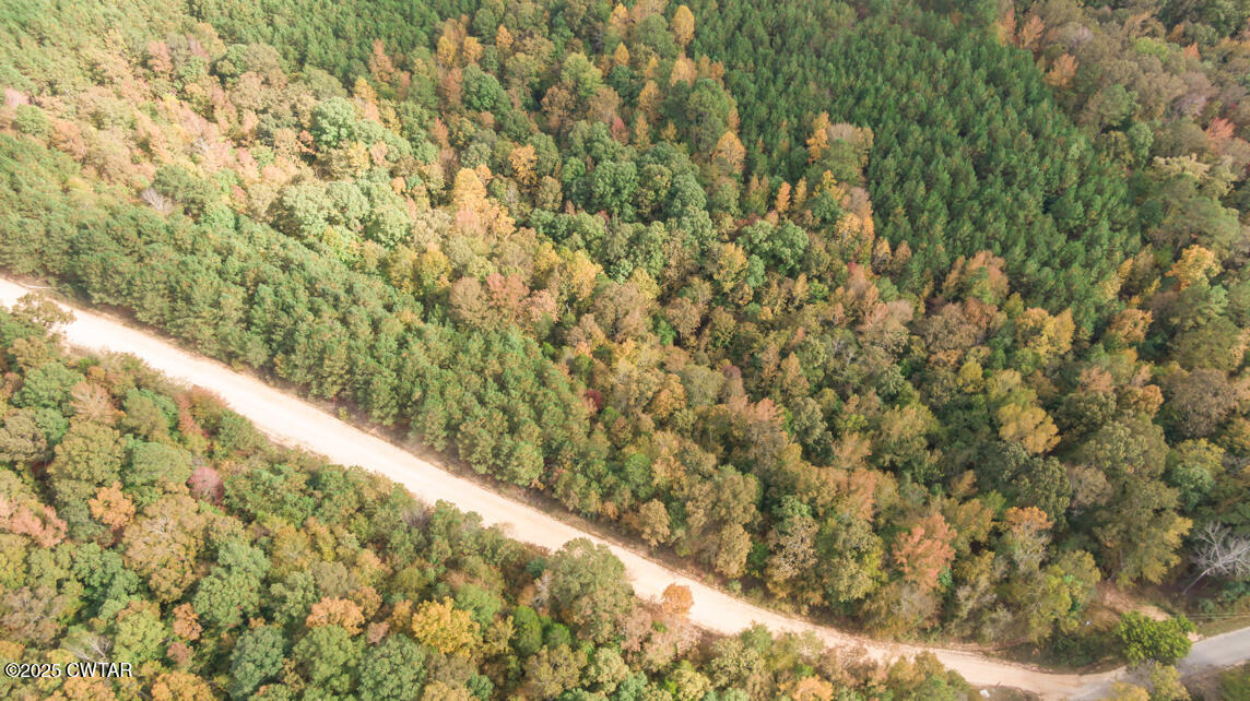 190 Pine Tree Drive Parsons, TN 38363 - Photo 50 of 56 a view of a forest from a window