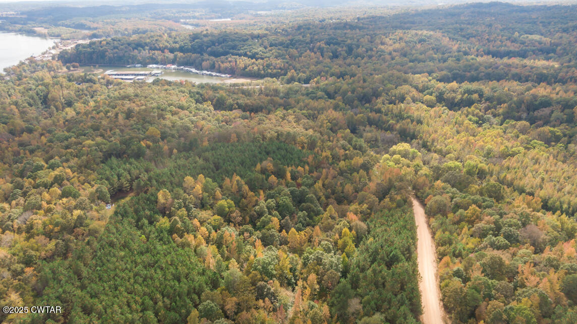 190 Pine Tree Drive Parsons, TN 38363 - Photo 54 of 56