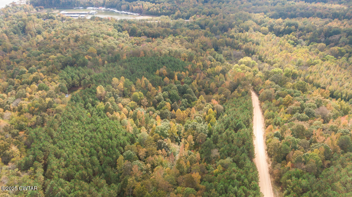 190 Pine Tree Drive Parsons, TN 38363 - Photo 55 of 56 a view of a yard