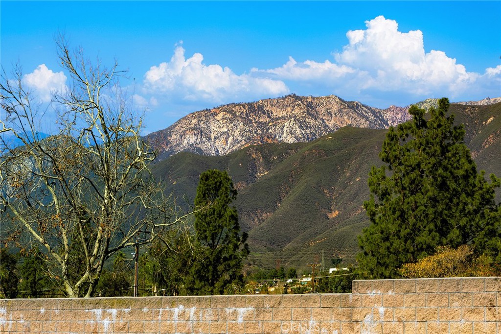 10154 Northridge Drive Rancho Cucamonga, CA 91737 - Photo 34 of 44