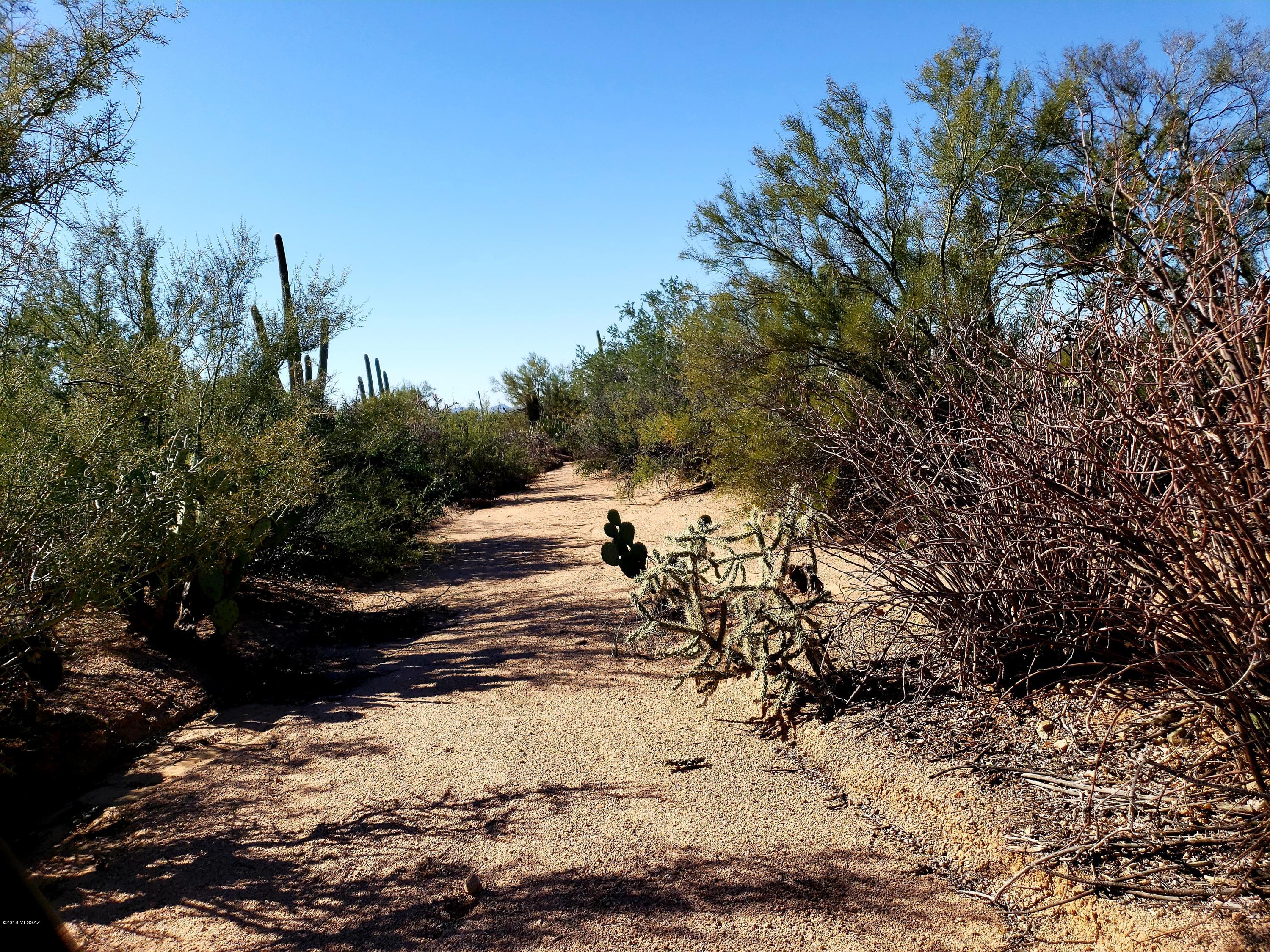 12200-blk West Fort Lowell Road Tucson, AZ 85743 - Photo 4 of 14
