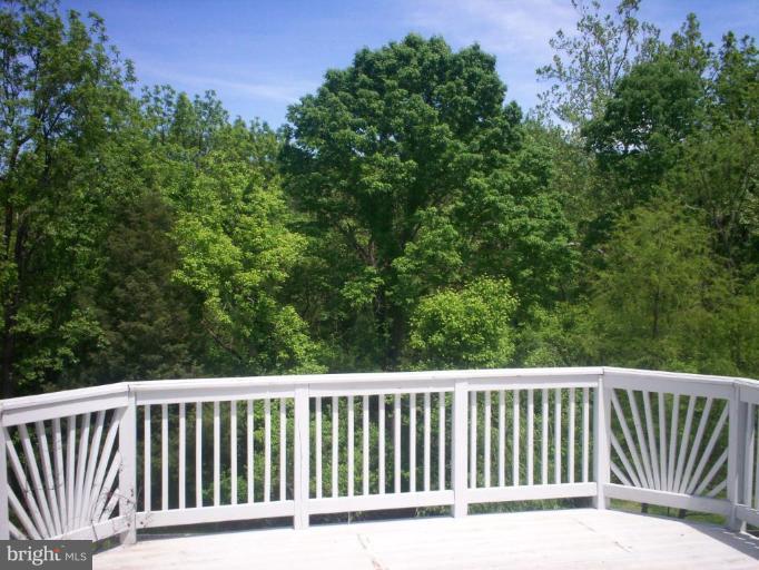 1450 Canterbury Road Front Royal, VA 22630 - Photo 8 of 21 Deck - View from