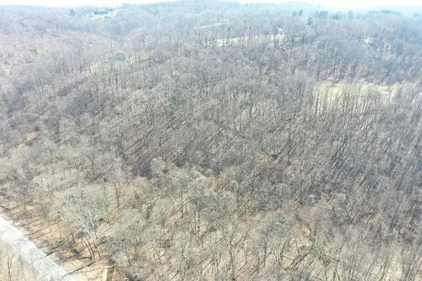 a close up of a field