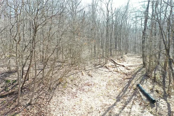 a view of a backyard of the house