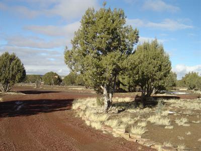 3253 Hillside Road Williams, AZ 86046 - Photo 10 of 15 Additional Photo