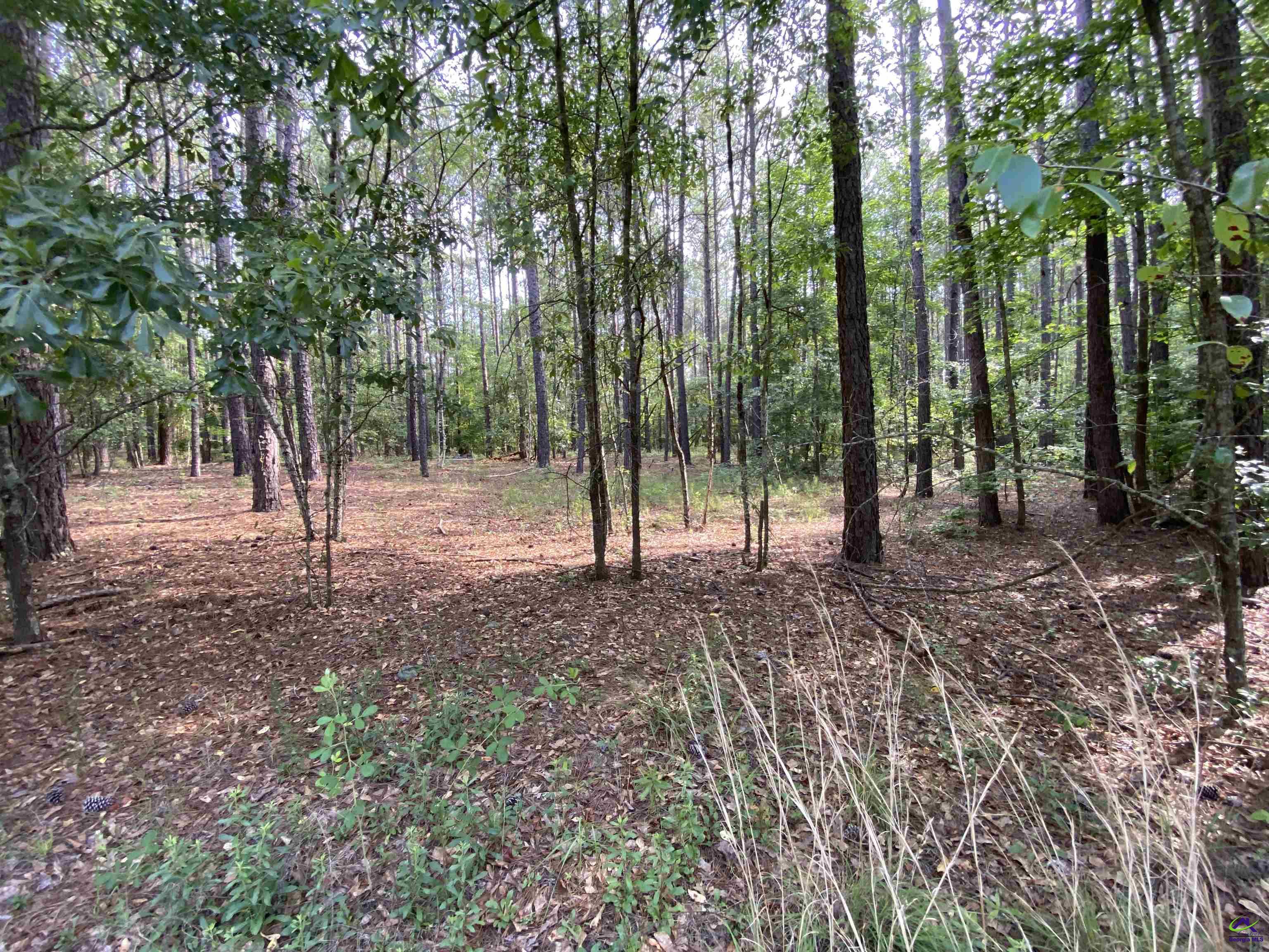 Lot 9 Cherokee Trail Road Eastman, GA 31023 - Photo 10 of 18