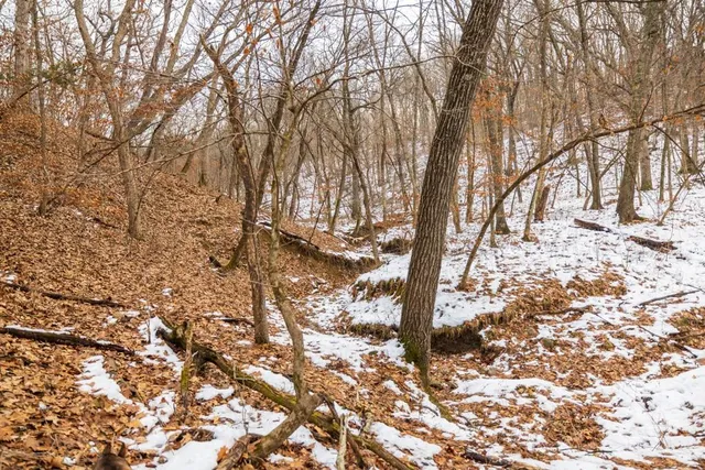 $536,500 | 15974 Highway 129, New Boston, MO 63557