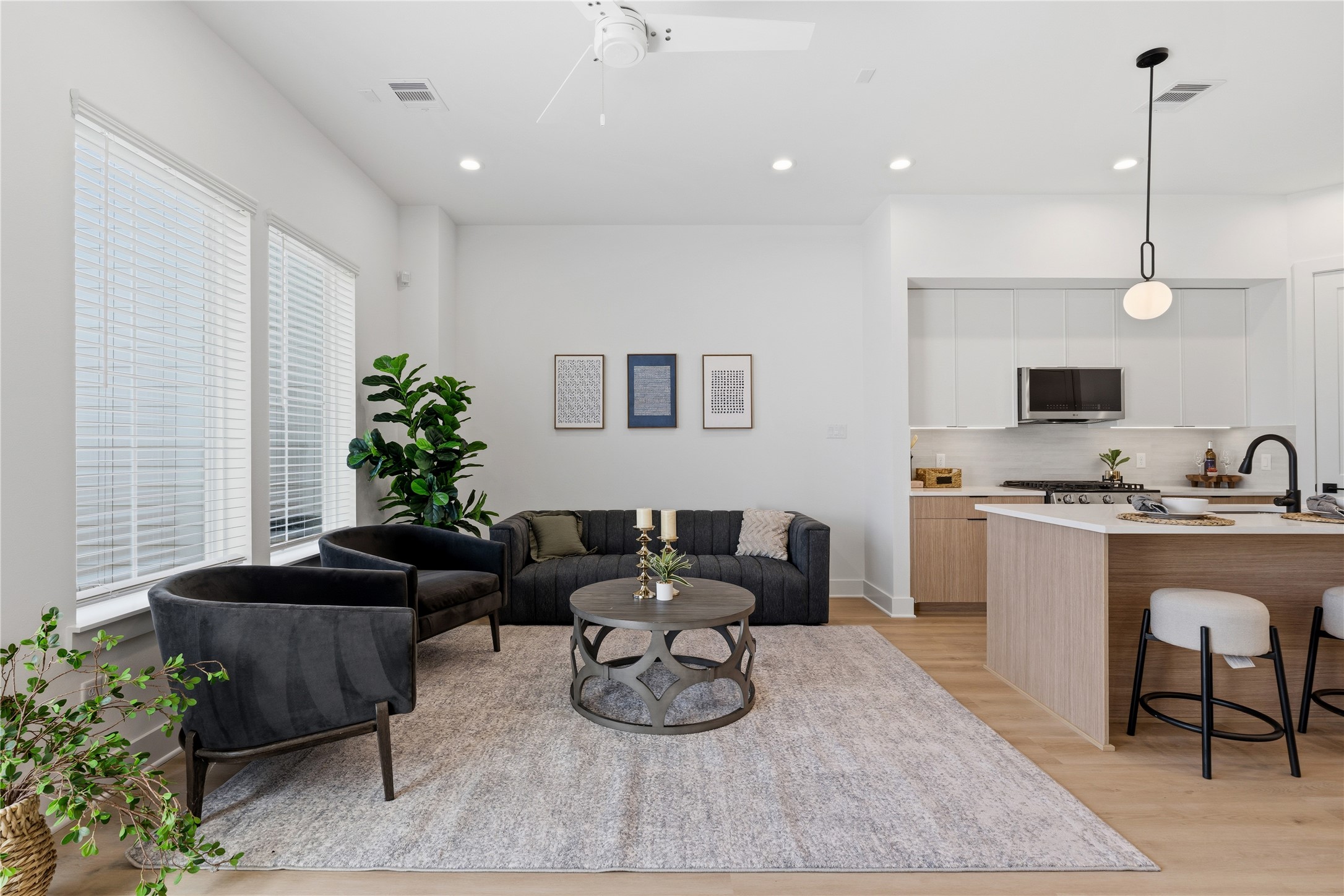4610 Gunter Street Houston, TX 77020 - Photo 12 of 43 a living room with furniture and a potted plant