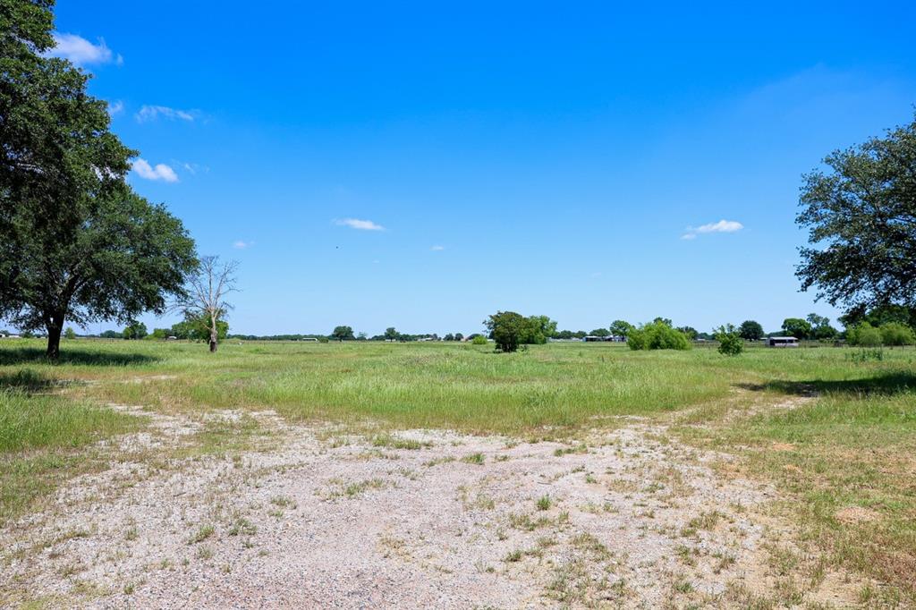 10575 Friendship Road Pilot Point, TX 76258 - Photo 13 of 32 Expansive open field featuring natural grasses and scattered mature trees under a clear blue sky