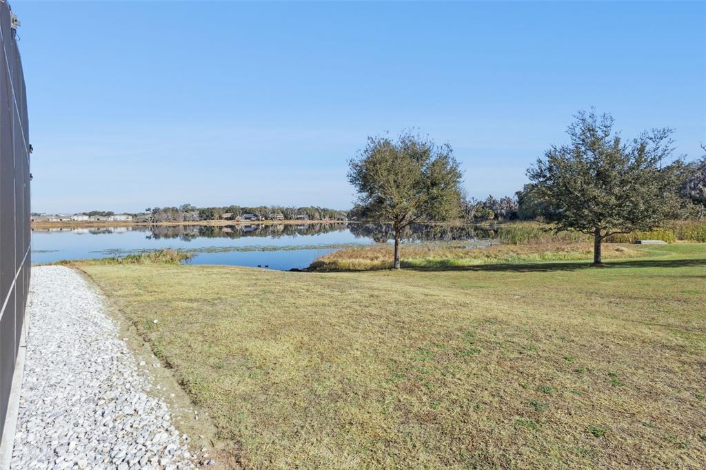 2400 Artist Point Court Apopka, FL 32703 - Photo 37 of 50 a view of a yard with a large trees