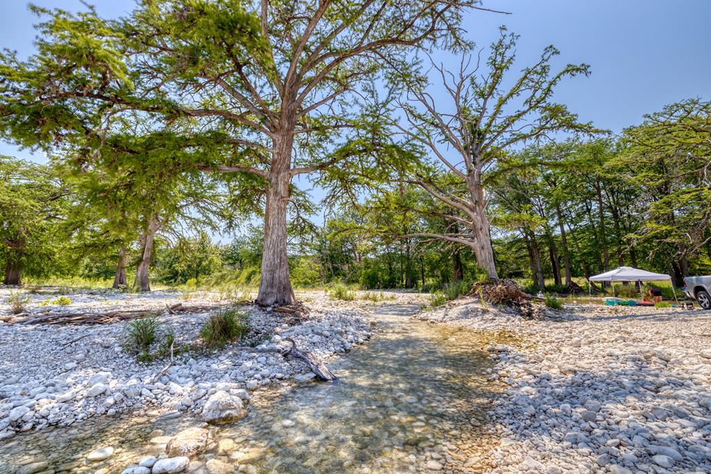 170 Johhny Seibert Lane Rio Frio, TX 78879 - Photo 50 of 67 a view of a tree in the middle of a yard