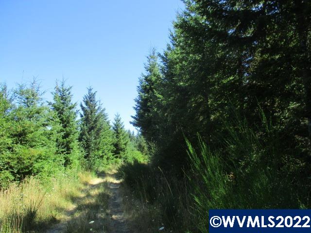 0 Timber (east) Road Forest Grove, OR 97116 - Photo 3 of 9
