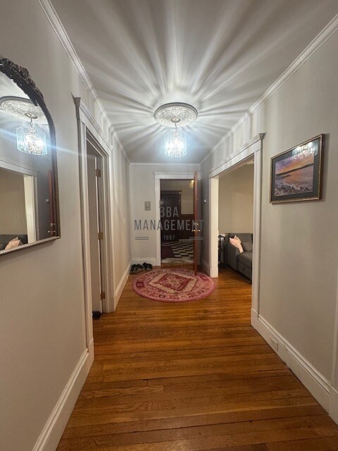 30 Chiswick Road, Unit 5 Boston, MA 02135 - Photo 3 of 12 a view of livingroom with hardwood floor and a ceiling fan
