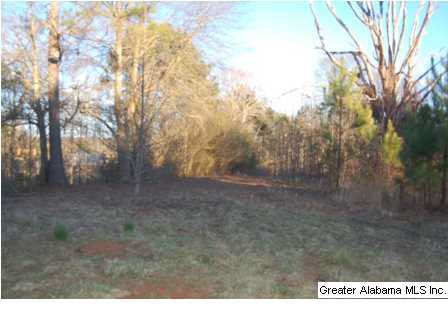 66 County Road, Unit 50 Woodland, AL 36280 - Photo 4 of 12