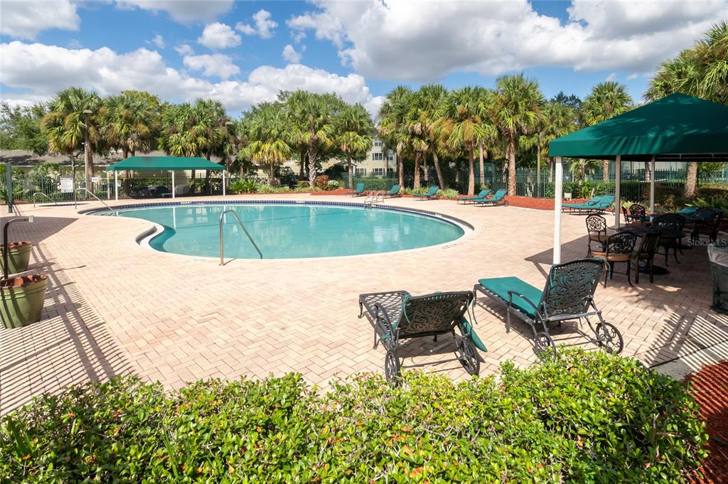 18103 Back Stretch Lane Tampa, FL 33647 - Photo 17 of 24 a swimming pool with outdoor seating and yard