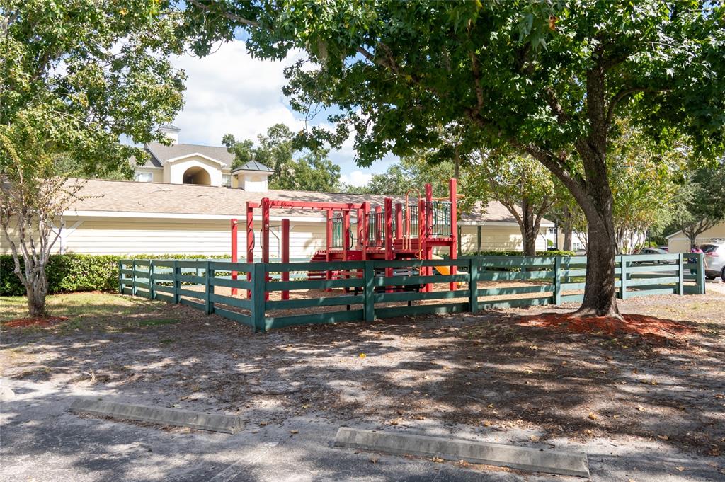 18103 Back Stretch Lane Tampa, FL 33647 - Photo 20 of 24 a view of a park with large trees