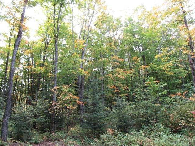 15-ac Island Lake Road Hurley, WI 54534 - Photo 11 of 13 Gallery Image 11