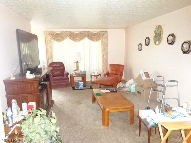 6476 State Road, Unit H17 Parma, OH 44134 - Photo 7 of 23 Living Room